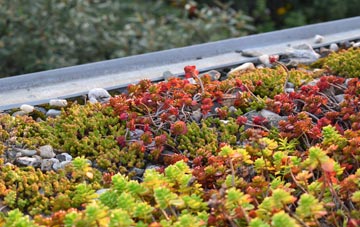 the cost of Lea Bridge green roof installation