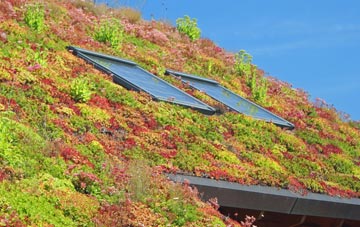 Lea Bridge living roof systems