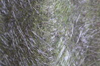 Lea Bridge fibreglass roof work